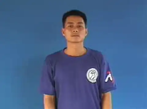 côn trùng - Ngôn Ngữ ký Hiệu - Vùng miền Hà Nội - Phân loại Con vật