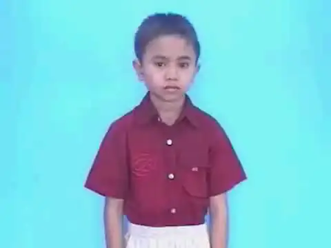 con ve sầu - Ngôn Ngữ ký Hiệu - Vùng miền Lâm Đồng - Phân loại Con vật