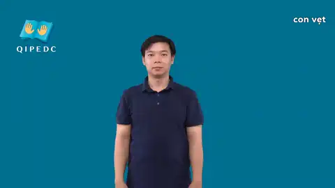 con vẹt - Ngôn Ngữ ký Hiệu - Vùng miền Toàn Quốc - Phân loại Con vật