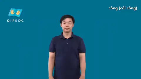 còng (cái còng) - Ngôn Ngữ ký Hiệu - Vùng miền Toàn Quốc - Phân loại Đồ vật