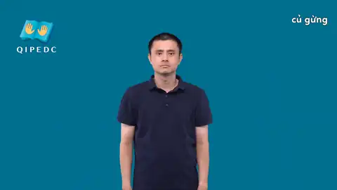 củ gừng - Ngôn Ngữ ký Hiệu - Vùng miền Toàn Quốc - Phân loại Thực Vật