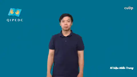 cướp - Ngôn Ngữ ký Hiệu - Vùng miền Miền Trung - Phân loại Hành động