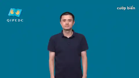 cướp biển - Ngôn Ngữ ký Hiệu - Vùng miền Toàn Quốc - Phân loại Khác