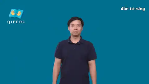 đàn tơ-rưng - Ngôn Ngữ ký Hiệu - Vùng miền Toàn Quốc - Phân loại Khác