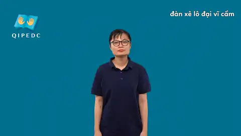 đàn xê lô đại vĩ cầm - Ngôn Ngữ ký Hiệu - Vùng miền Toàn Quốc - Phân loại Khác