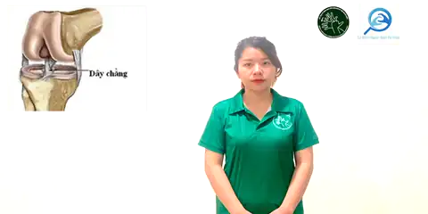 dây chằng - Ngôn Ngữ ký Hiệu - Vùng miền Thành Phố Hồ Chí Minh - Phân loại Sức khỏe - Bộ phận cơ thể, Danh Từ, Dự Án 250 Ký Hiệu Y Khoa
