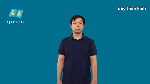 dây thần kinh - Ngôn Ngữ ký Hiệu - Vùng miền Toàn Quốc - Phân loại Bộ Phận Cơ Thể