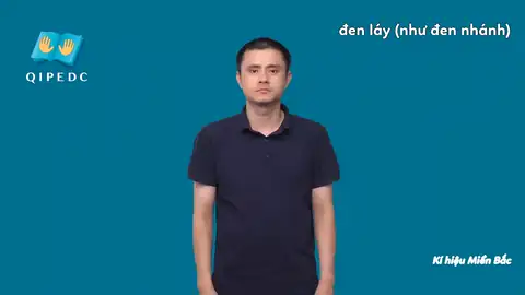 đen láy (như đen nhánh) - Ngôn Ngữ ký Hiệu - Vùng miền Hà Nội - Phân loại Khác