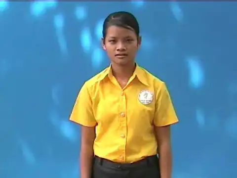 đèn tín hiệu - Ngôn Ngữ ký Hiệu - Vùng miền Bình Dương - Phân loại Giao Thông