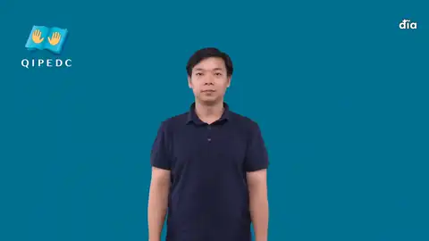 đĩa - Ngôn Ngữ ký Hiệu - Vùng miền Toàn Quốc - Phân loại Khác