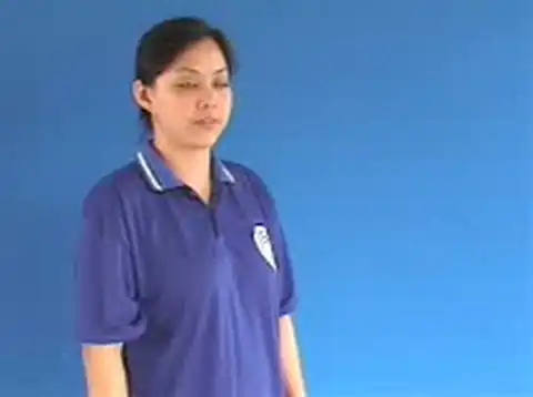 đĩa cd - Ngôn Ngữ ký Hiệu - Vùng miền Hà Nội - Phân loại Tin học
