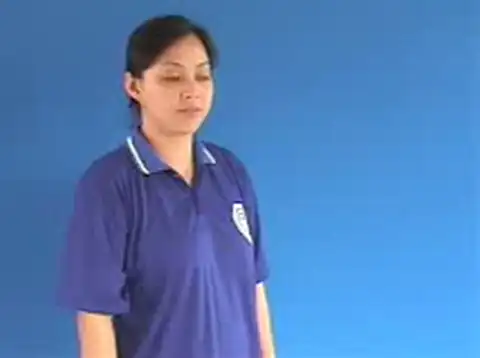 đĩa cứng - Ngôn Ngữ ký Hiệu - Vùng miền Hà Nội - Phân loại Tin học