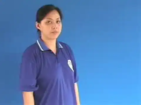 đĩa mềm - Ngôn Ngữ ký Hiệu - Vùng miền Hà Nội - Phân loại Tin học