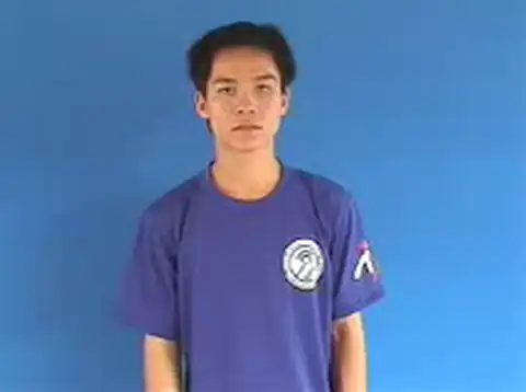 đồ họa - Ngôn Ngữ ký Hiệu - Vùng miền Hà Nội - Phân loại Tin học