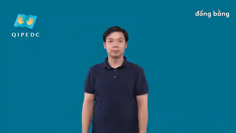 đồng bằng - Ngôn Ngữ ký Hiệu - Vùng miền Toàn Quốc - Phân loại Khác