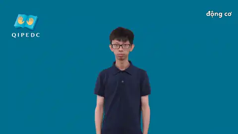 động cơ - Ngôn Ngữ ký Hiệu - Vùng miền - Phân loại