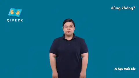 đúng không? - Ngôn Ngữ ký Hiệu - Vùng miền Hà Nội - Phân loại Từ thông dụng, Câu hỏi