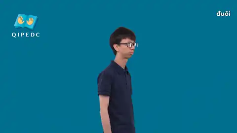 đuôi - Ngôn Ngữ ký Hiệu - Vùng miền Toàn Quốc - Phân loại Khác
