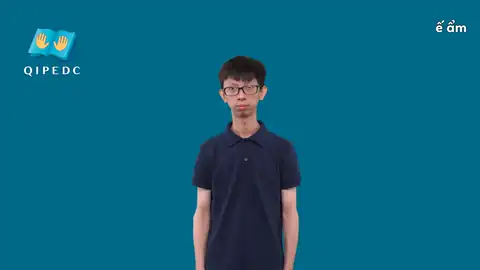 ế ẩm - Ngôn Ngữ ký Hiệu - Vùng miền - Phân loại