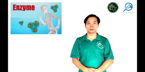 enzyme - Ngôn Ngữ ký Hiệu - Vùng miền Thành Phố Hồ Chí Minh - Phân loại Sức khỏe - Bộ phận cơ thể, Danh Từ, Dự Án 250 Ký Hiệu Y Khoa