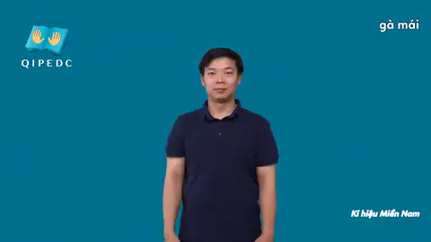 gà mái - Ngôn Ngữ ký Hiệu - Vùng miền Thành Phố Hồ Chí Minh - Phân loại Con vật