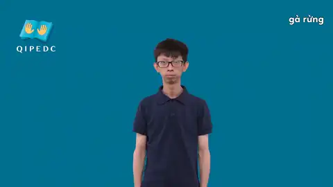 gà rừng - Ngôn Ngữ ký Hiệu - Vùng miền Toàn Quốc - Phân loại Con vật