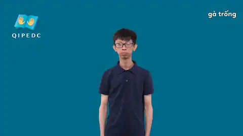 gà trống - Ngôn Ngữ ký Hiệu - Vùng miền Toàn Quốc - Phân loại Con vật