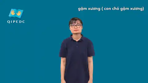 gặm xương (con chó gặm xương) - Ngôn Ngữ ký Hiệu - Vùng miền Toàn Quốc - Phân loại Khác