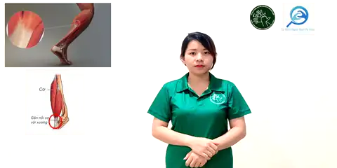 gân - Ngôn Ngữ ký Hiệu - Vùng miền Thành Phố Hồ Chí Minh - Phân loại Sức khỏe - Bộ phận cơ thể, Danh Từ, Dự Án 250 Ký Hiệu Y Khoa