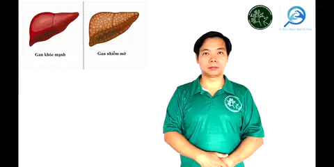 gan nhiễm mỡ - Ngôn Ngữ ký Hiệu - Vùng miền Thành Phố Hồ Chí Minh - Phân loại Sức khỏe - Bộ phận cơ thể, Danh Từ, Dự Án 250 Ký Hiệu Y Khoa