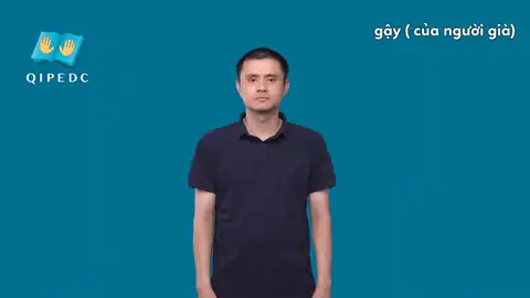 gậy của người già - Ngôn Ngữ ký Hiệu - Vùng miền Toàn Quốc - Phân loại Đồ vật