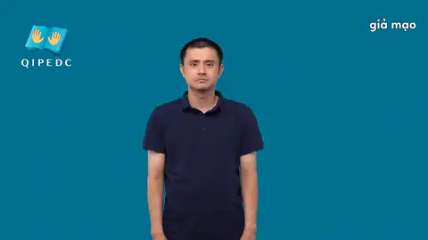 giả sử - Ngôn Ngữ ký Hiệu - Vùng miền Toàn Quốc - Phân loại Khác