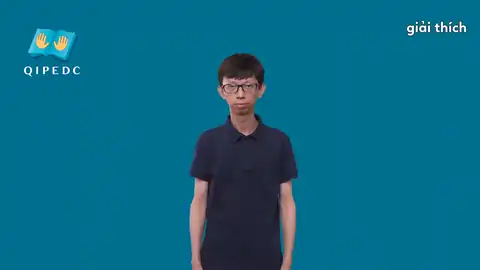 giải thích - Ngôn Ngữ ký Hiệu - Vùng miền Toàn Quốc - Phân loại Khác
