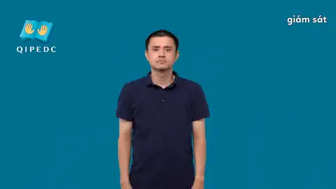 giám sát - Ngôn Ngữ ký Hiệu - Vùng miền Toàn Quốc - Phân loại Khác
