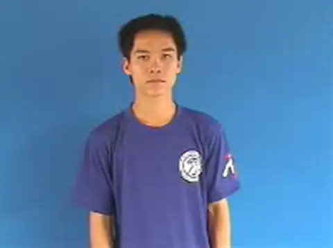 giao diện - Ngôn Ngữ ký Hiệu - Vùng miền Hà Nội - Phân loại Tin học