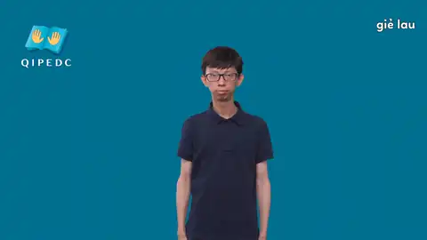 giẻ lau - Ngôn Ngữ ký Hiệu - Vùng miền Toàn Quốc - Phân loại Danh Từ