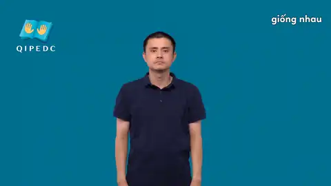 giống nhau - Ngôn Ngữ ký Hiệu - Vùng miền Toàn Quốc - Phân loại Khác, Danh Từ