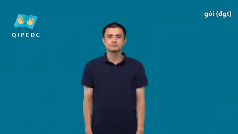 gói (đgt) - Ngôn Ngữ ký Hiệu - Vùng miền Toàn Quốc - Phân loại Khác, Danh Từ