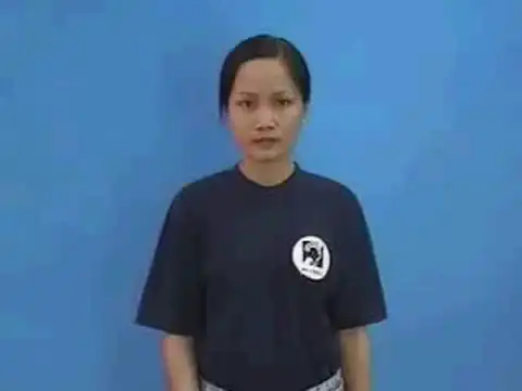 hoa cẩm chướng - Ngôn Ngữ ký Hiệu - Vùng miền Thành Phố Hồ Chí Minh - Phân loại Thực Vật