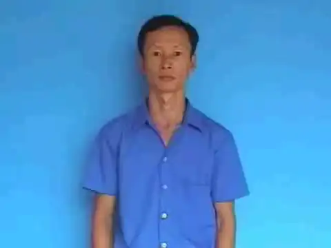 hoa lay-ơn - Ngôn Ngữ ký Hiệu - Vùng miền Bình Dương - Phân loại Thực Vật