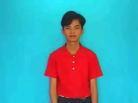 hoa mai - Ngôn Ngữ ký Hiệu - Vùng miền Lâm Đồng - Phân loại Thực Vật