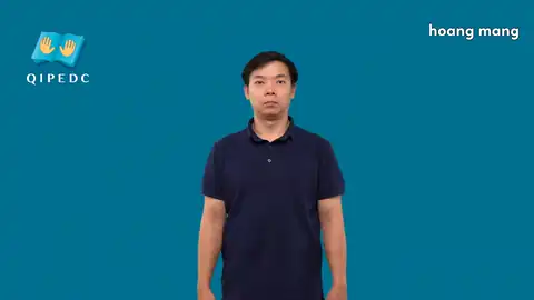 hoang mang - Ngôn Ngữ ký Hiệu - Vùng miền Toàn Quốc - Phân loại Tính Từ