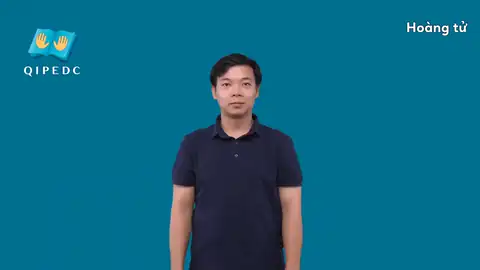 Hoàng tử - Ngôn Ngữ ký Hiệu - Vùng miền Toàn Quốc - Phân loại Danh Từ