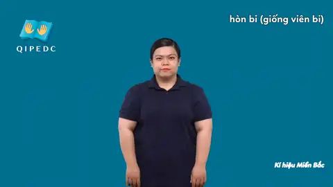 hòn bi (giống viên bi) - Ngôn Ngữ ký Hiệu - Vùng miền Hà Nội - Phân loại Đồ vật, Danh Từ