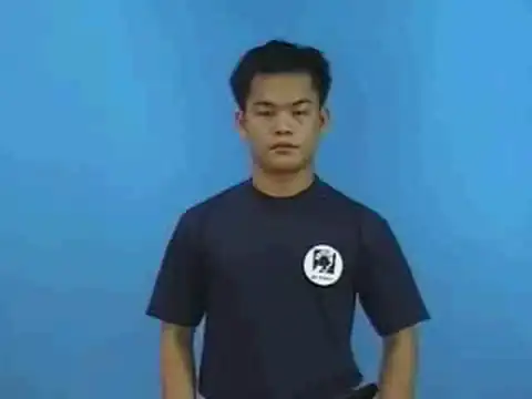 huấn luyện - Ngôn Ngữ ký Hiệu - Vùng miền Thành Phố Hồ Chí Minh - Phân loại Hành động