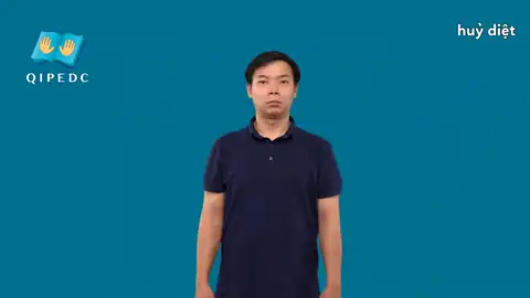 huỷ diệt - Ngôn Ngữ ký Hiệu - Vùng miền - Phân loại