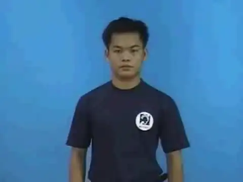 kết quả - Ngôn Ngữ ký Hiệu - Vùng miền Thành Phố Hồ Chí Minh - Phân loại Hành động