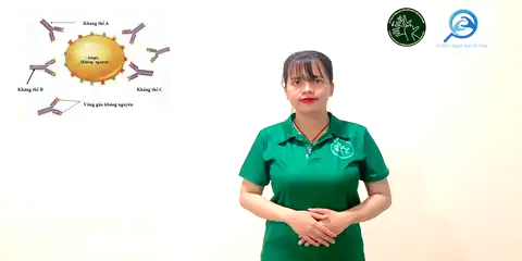 kháng thể - Ngôn Ngữ ký Hiệu - Vùng miền Thành Phố Hồ Chí Minh - Phân loại Sức khỏe - Bộ phận cơ thể, Danh Từ, Dự Án 250 Ký Hiệu Y Khoa