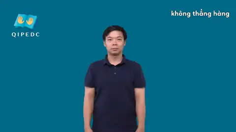 không thẳng hàng - Ngôn Ngữ ký Hiệu - Vùng miền Toàn Quốc - Phân loại Khác