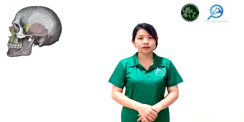 khớp bất động - Ngôn Ngữ ký Hiệu - Vùng miền Thành Phố Hồ Chí Minh - Phân loại Sức khỏe - Bộ phận cơ thể, Danh Từ, Dự Án 250 Ký Hiệu Y Khoa